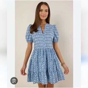 Avara Exclusive The Meredith Dress, Brand-new, Size L